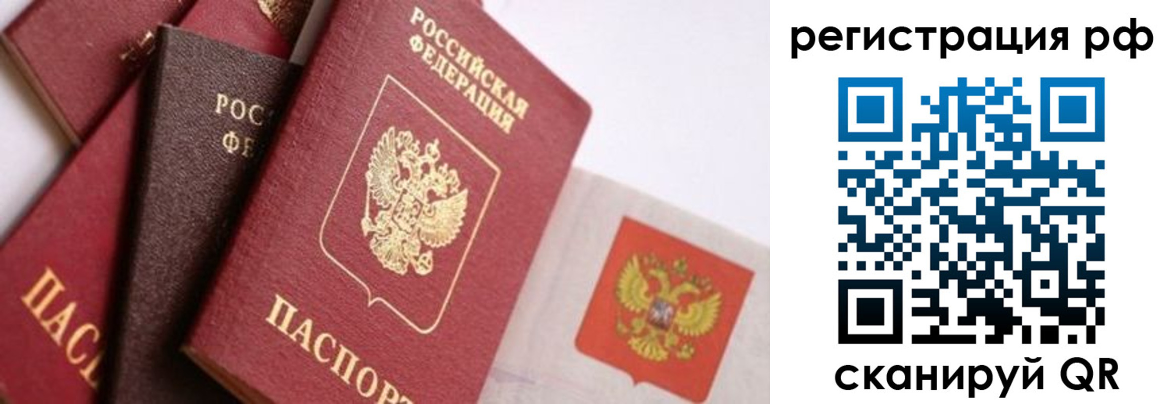 прописка гарантия в Дубне